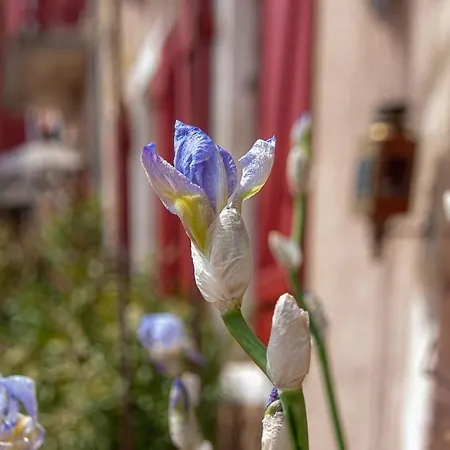 Au Puy Des Verites 3* Lapalisse