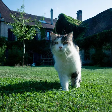 Au Puy Des Verites 3* 라팔리스