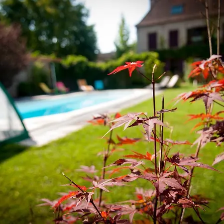 Au Puy Des Verites B&B