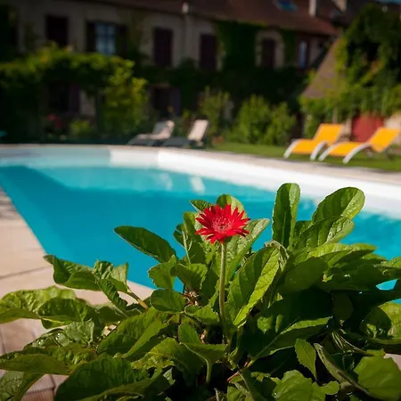 Au Puy Des Verites *