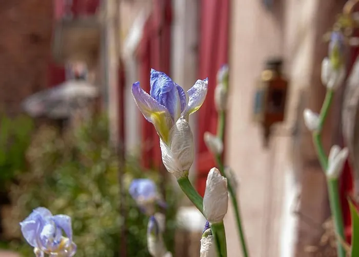 Au Puy Des Verites 3* Лапалисс