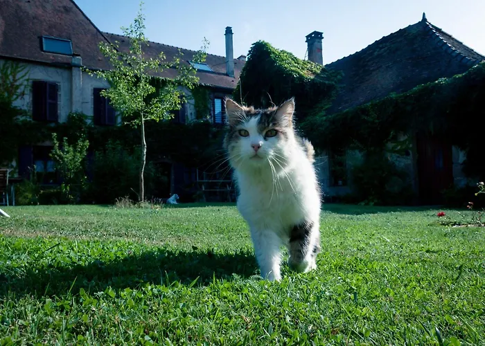 Au Puy Des Verites 3* Лапалисс